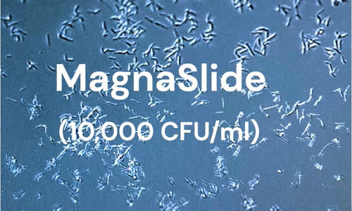 MagnaSlide microscopy